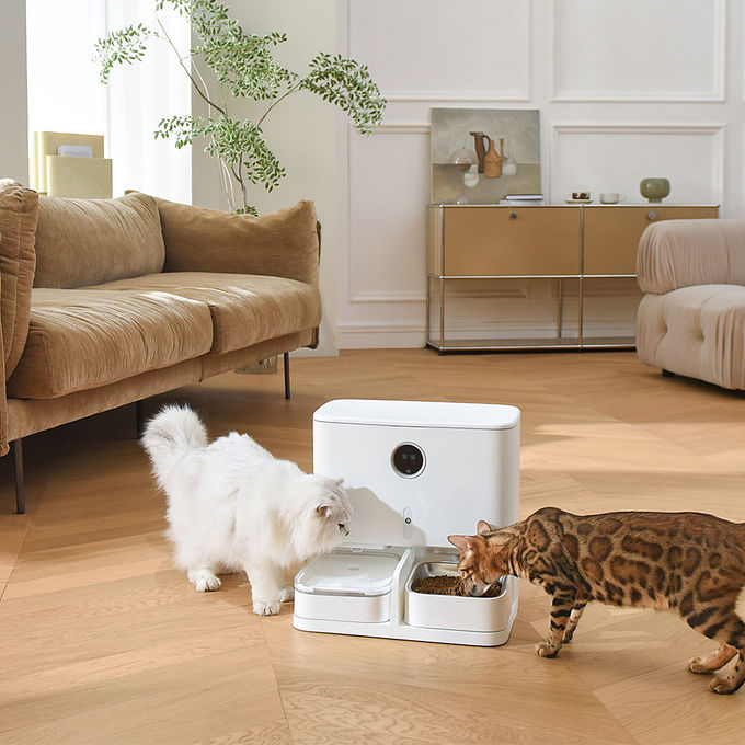 Automatische het Voeden 6L Huisdierenvoeder en LCD van de Waterautomaat Vertoning voor Katten/Honden 0
